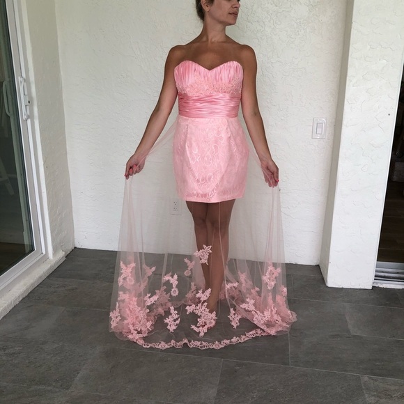 Alyce Paris Pink Etherial Lace Prom Pageant Gown Dress Womens 6 - Picture 2 of 11